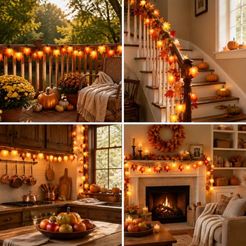 25FT Outdoor String Lights for Holiday Decor