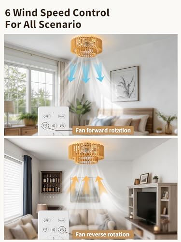 20" Wood Caged Ceiling Fans with Lights