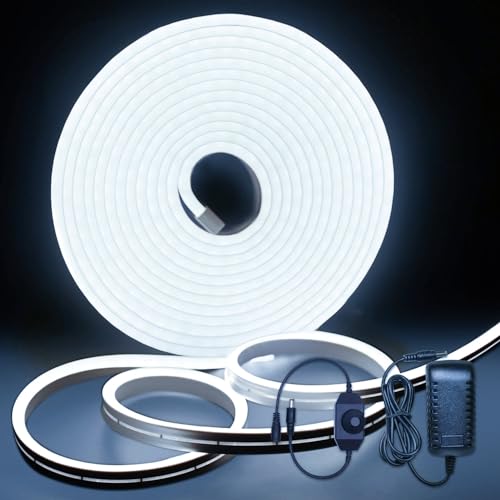 Dimmable LED Neon Rope Light