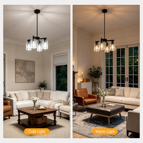 Farmhouse Black Pendant Light