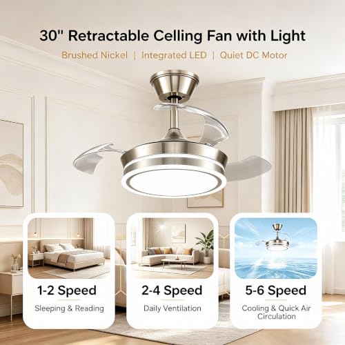 Ceiling Fans with Lights