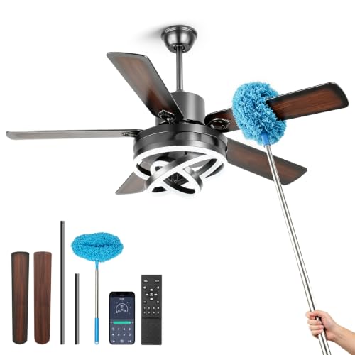 Ceiling Fans with Lights