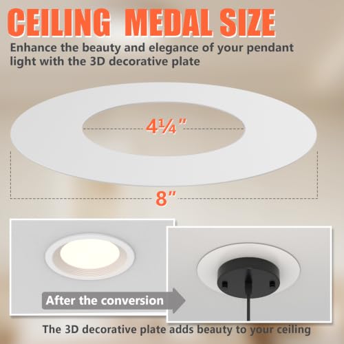 Can Light Conversion Kit to Pendant