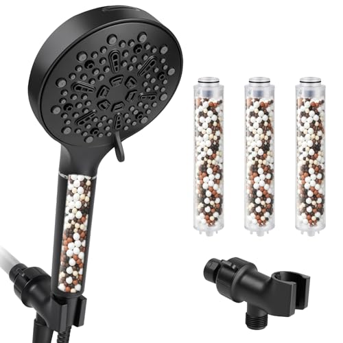 Filtered Shower Head with Handheld