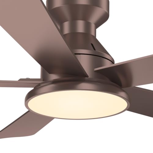 Ceiling Fans with Lights