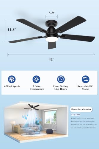 Ceiling Fan with Light
