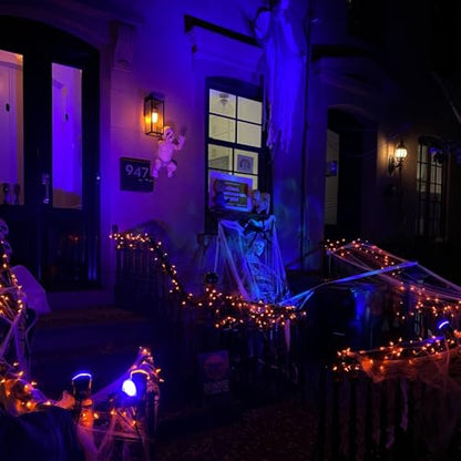 Upgraded LED Flame Light Bulbs