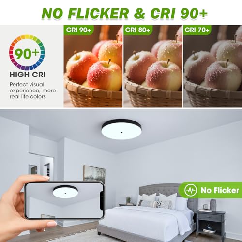12" Black Flush Mount Ceiling Light Fixture