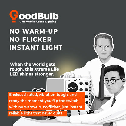 Made in USA A19 LED Light Bulbs (Warm White)
