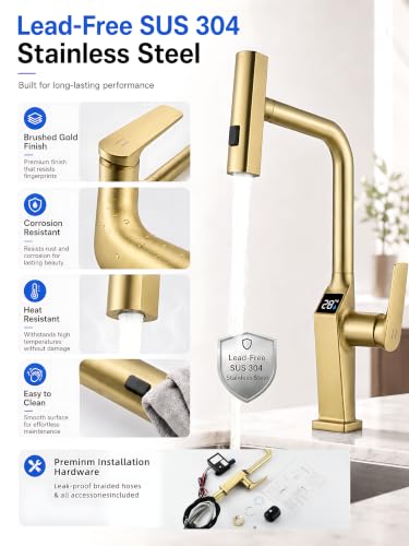 Touchless Kitchen Faucet