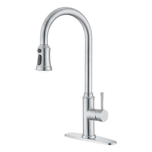 Kitchen Faucet with Pull Down Sprayer