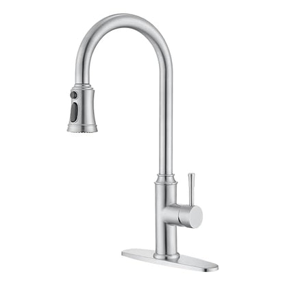 Kitchen Faucet with Pull Down Sprayer