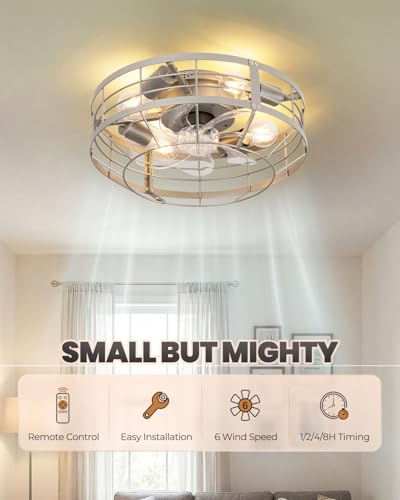 Black Ceiling Fan with Light