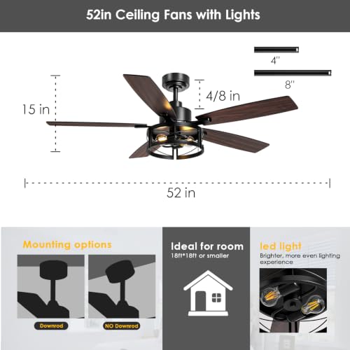 ceiling fan