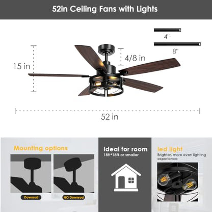 ceiling fan