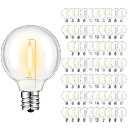 G40 Light Bulbs