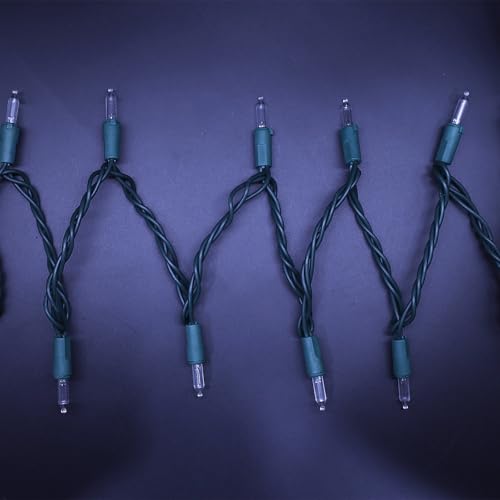 100 LED Warm White Christmas Lights on Green Wire