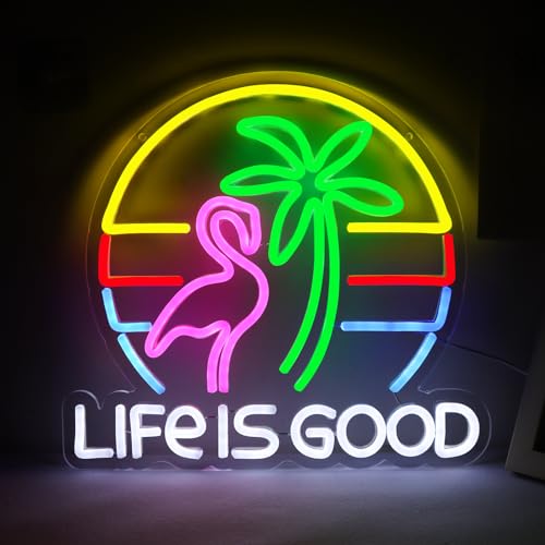 Bikini Crs LIGHT Neon Signs for Wall Decor Neon Lights for Business Led Signs Suitable for Man Cave Restaurant Office Bar Pub Led Art 5V Power Adapter 16.1 * 9.8 Inch