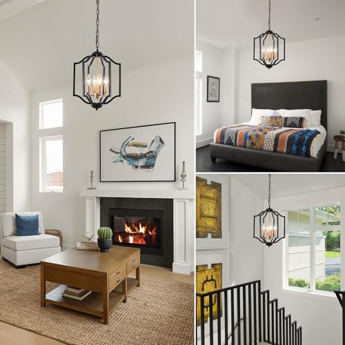 Black Chandelier Light Fixture