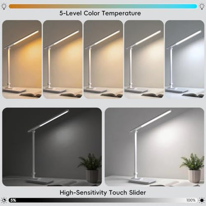 LED Desk Lamp