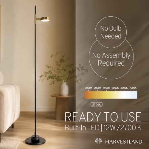 Noah Reading Floor Lamp