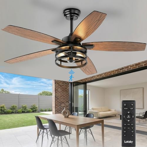 Outdoor Ceiling Fans with Light
