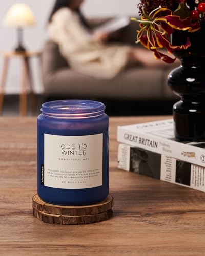 Ode to Winter Candles for Home Scented 19.4Oz Natural Soy Wax 110H (Large Jar / OdeToWinter)