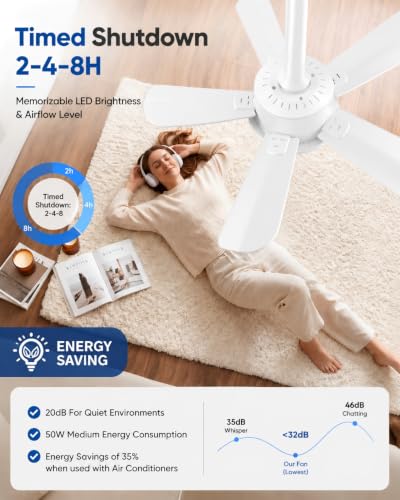 Socket Fan Light with Remote