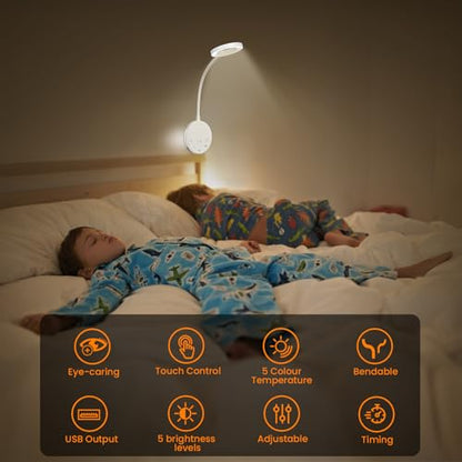 Wall Mounted Reading Light