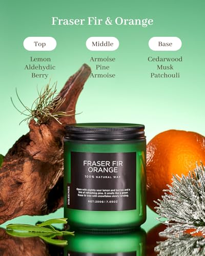 Fraser Fir Orange Non Toxic Christmas Scented Candles 11.6Oz 70H (Small Jar / Fraser Fir Orange)