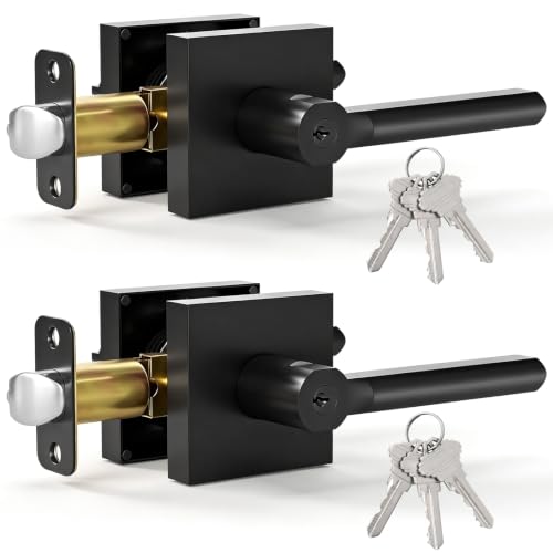 2 Pack Entry Door Handles with Lock and Key (Matte Black)