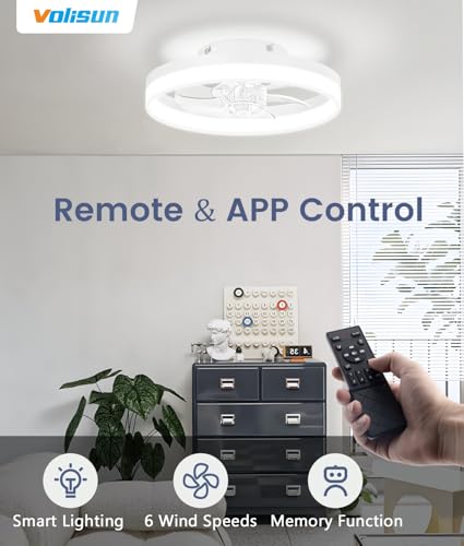 Low Profile Ceiling Fans with Lights and Remote