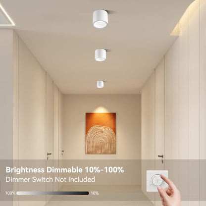 Flush Mount Dimmable Outdoor Ceiling Light Fixture