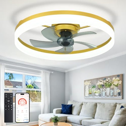 DLLT Modern Ceiling Fans with Lights