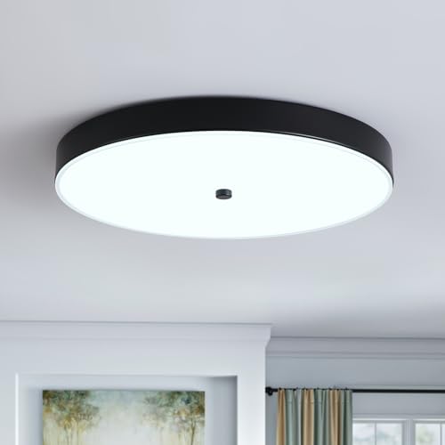 12" Black Flush Mount Ceiling Light Fixture