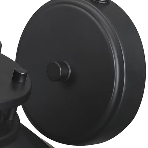 Black LED Antique Outdoor Barn Lights With Cage