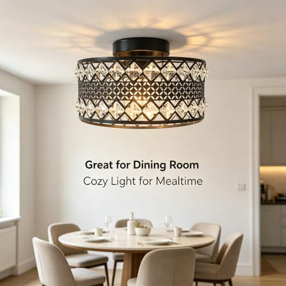 Crystal Ceiling Light Fixture (L)