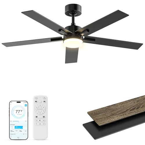 Black Ceiling Fan