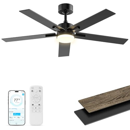 Black Ceiling Fan