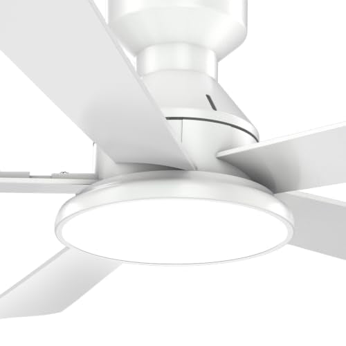 Ceiling Fans with Lights