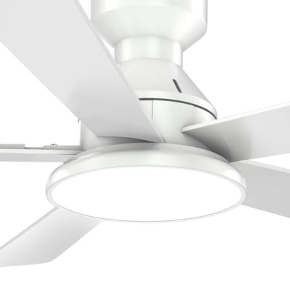 Ceiling Fans with Lights