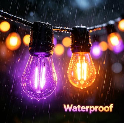 S14 2W Replacement Bulbs for String Lights