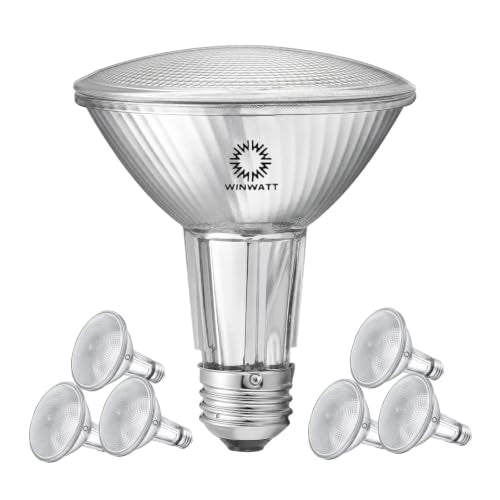 LED Light Bulbs PAR30L Full Glass Commercial Grade