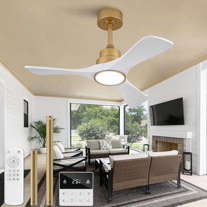 Ceiling Fan with Light