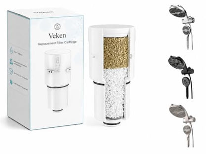 Filtered Shower Head with Handheld