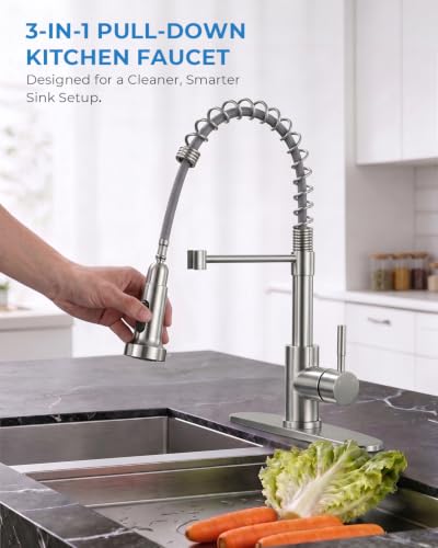 Kitchen Faucet with Pull Down Sprayer (Brushed Nickel)