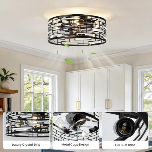 Caged Ceiling Fan with Light