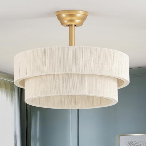 Ceiling Fans with Lights