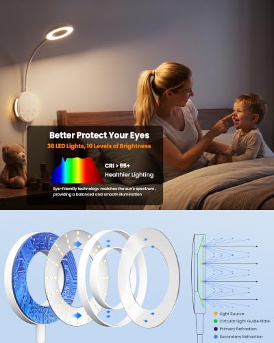 Wall Mounted Reading Light