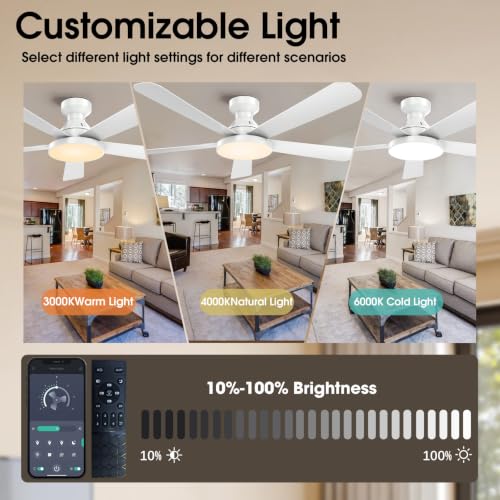 Ceiling Fans with Lights (White / 52 inch)